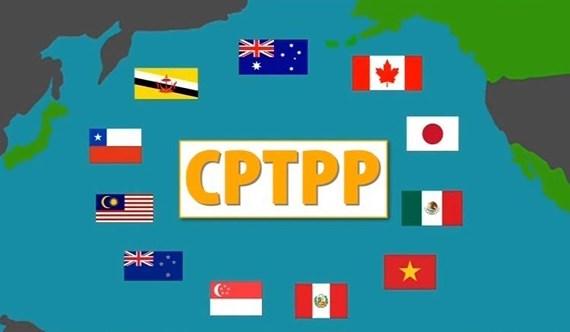 Káº¿t quáº£ hÃ¬nh áº£nh cho CPTPP