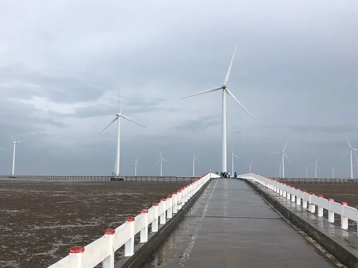 Hợp tác phát triển năng lượng tái tạo: Hướng đi mới cho ngành năng lượng Việt- Ảnh 2.