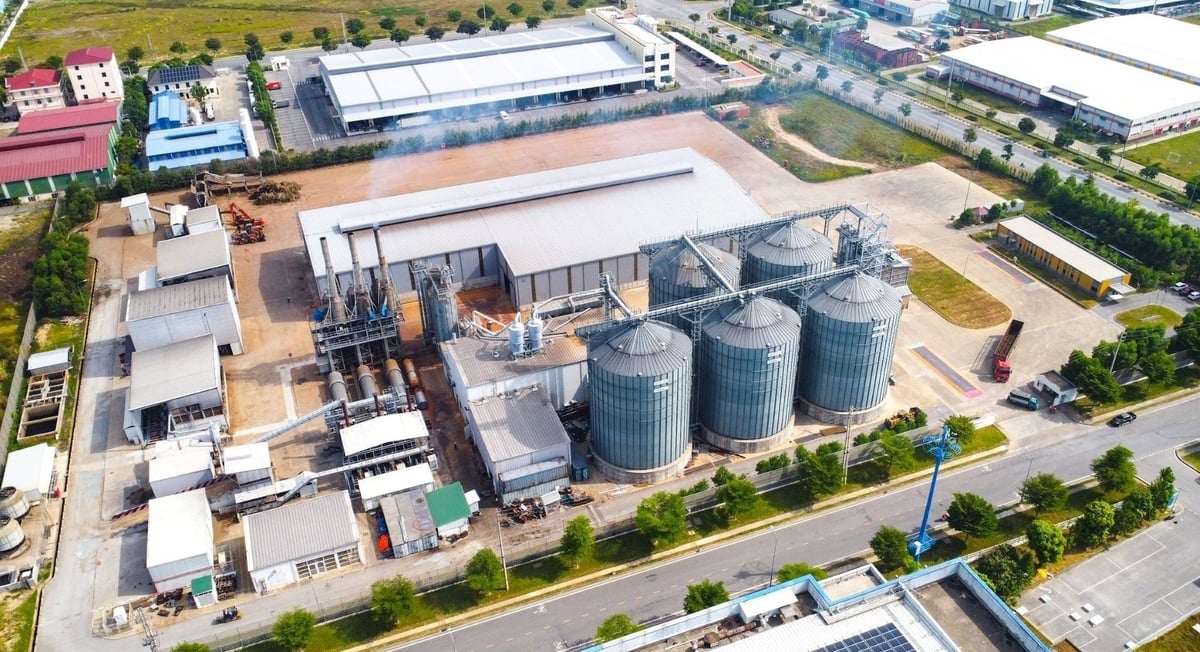 Nhà máy sản xuất viên nén gỗ Biomas Fuel Việt Nam tại KCN VSIP Nghệ An. Ảnh: Thành Cường.