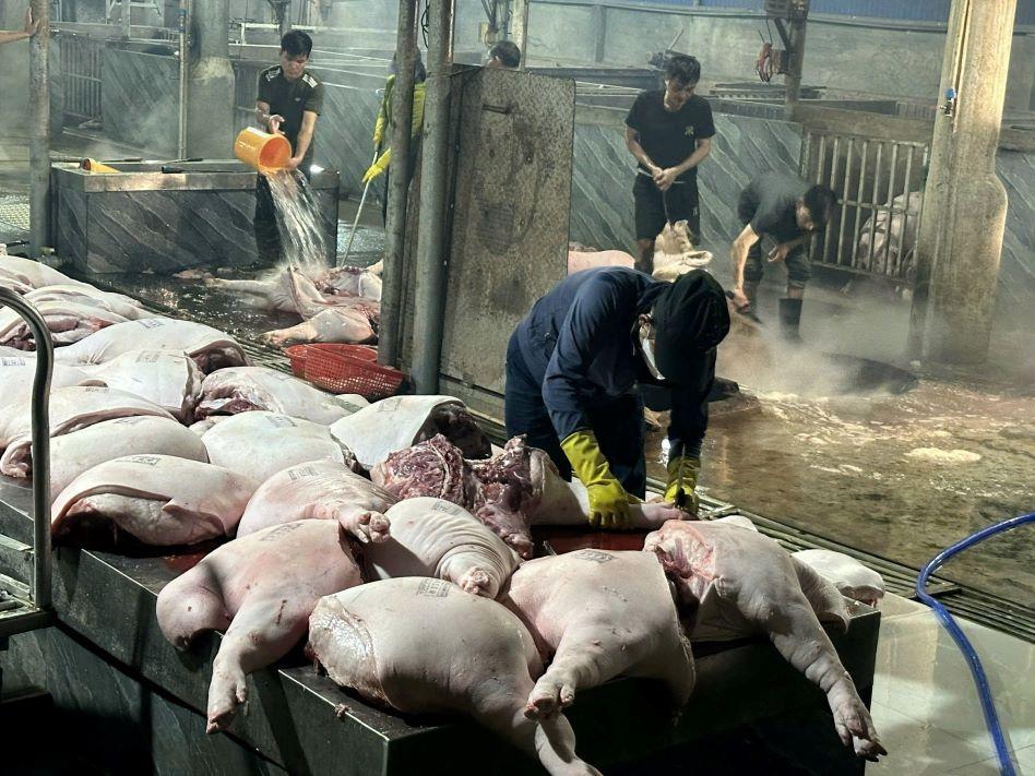 Lò mổ gia súc được kiểm tra chặt chẽ. Ảnh: Minh Anh
