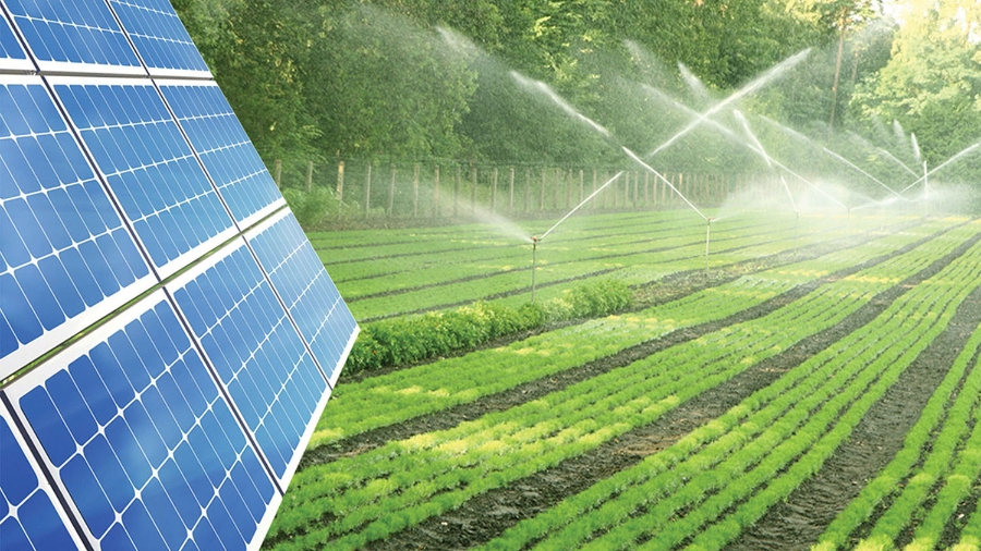 Dự án điện mặt trời nông nghiệp mang lại lợi ích kép; vừa tạo năng lượng sạch, vừa sản xuất nông nghiệp. Ảnh minh họa.