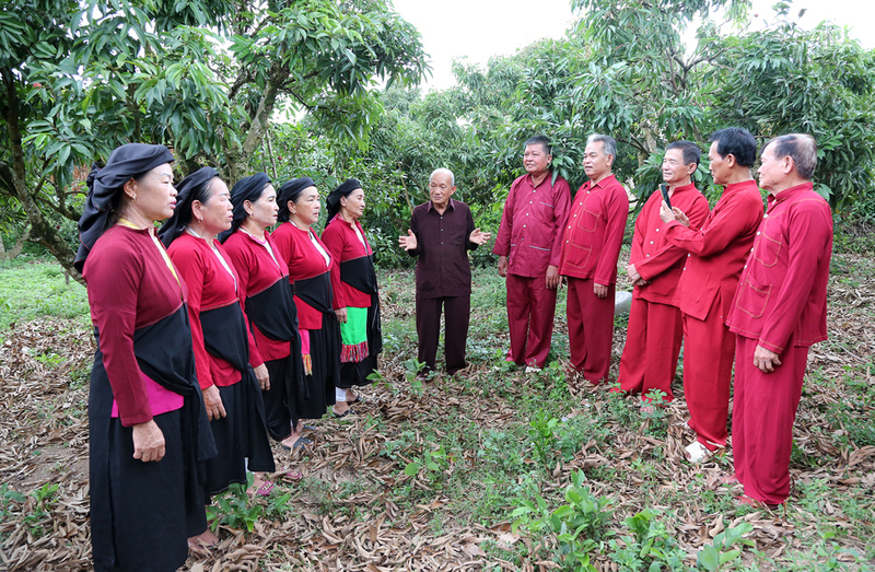 Câu lạc bộ hát dân ca Sán Dìu xã Lục Ngạn luyện tập tại vườn vải của địa phương. Ảnh: Văn Hưng