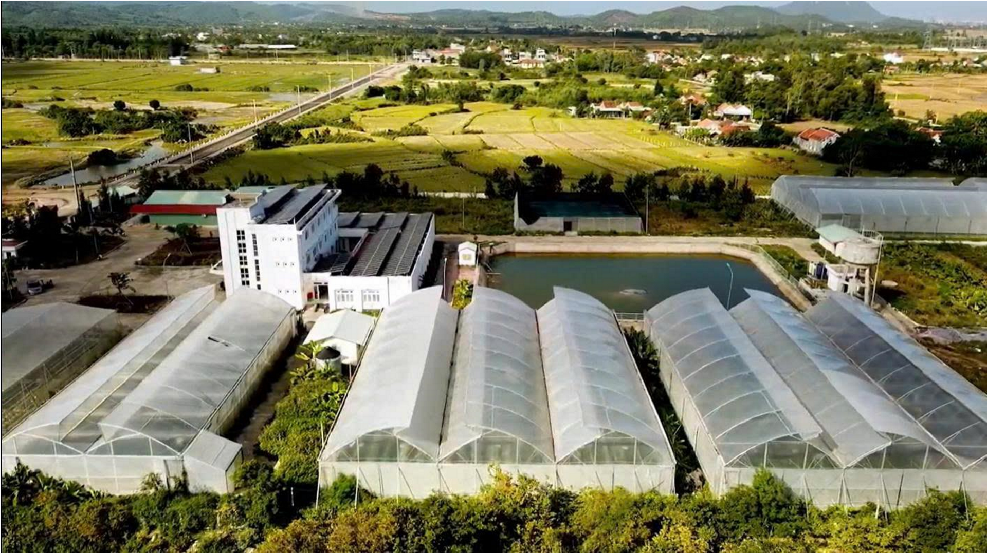 Trung tâm nghiên cứu và Phát triển nông nghiệp công nghệ cao Phú Yên, nơi nghiên cứu, tiếp nhận, xây dựng mô hình và nhân rộng, lan tỏa các quy trình công nghệ cao. Trung tâm nghiên cứu và Phát triển nông nghiệp công nghệ cao Phú Yên, nơi nghiên cứu, tiếp nhận, xây dựng mô hình và nhân rộng, lan tỏa các quy trình công nghệ cao.