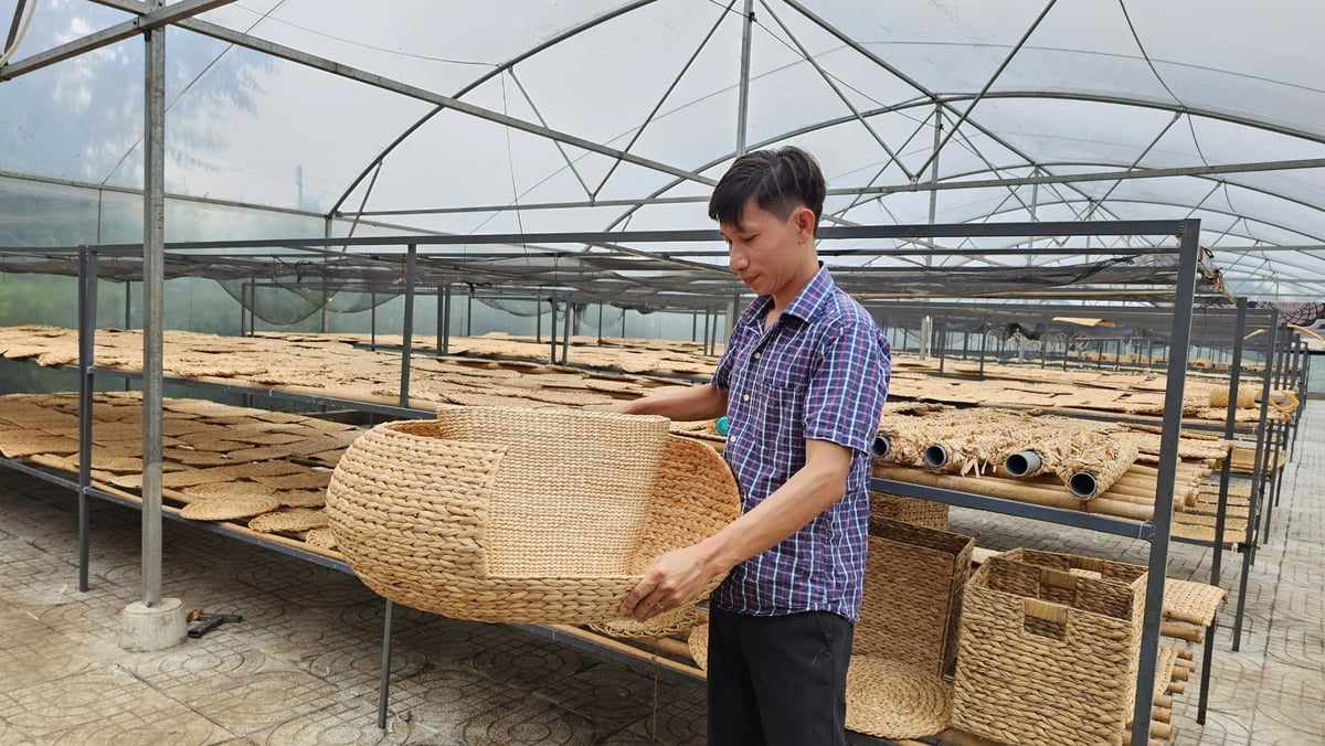 Công ty Cổ phần Ecoka đang thực hiện chiến lược tối ưu năng lượng, giảm phát thải khí nhà kính bằng cách ứng dụng công nghệ phơi sấy tiên tiến. Ảnh: Lê Hùng.