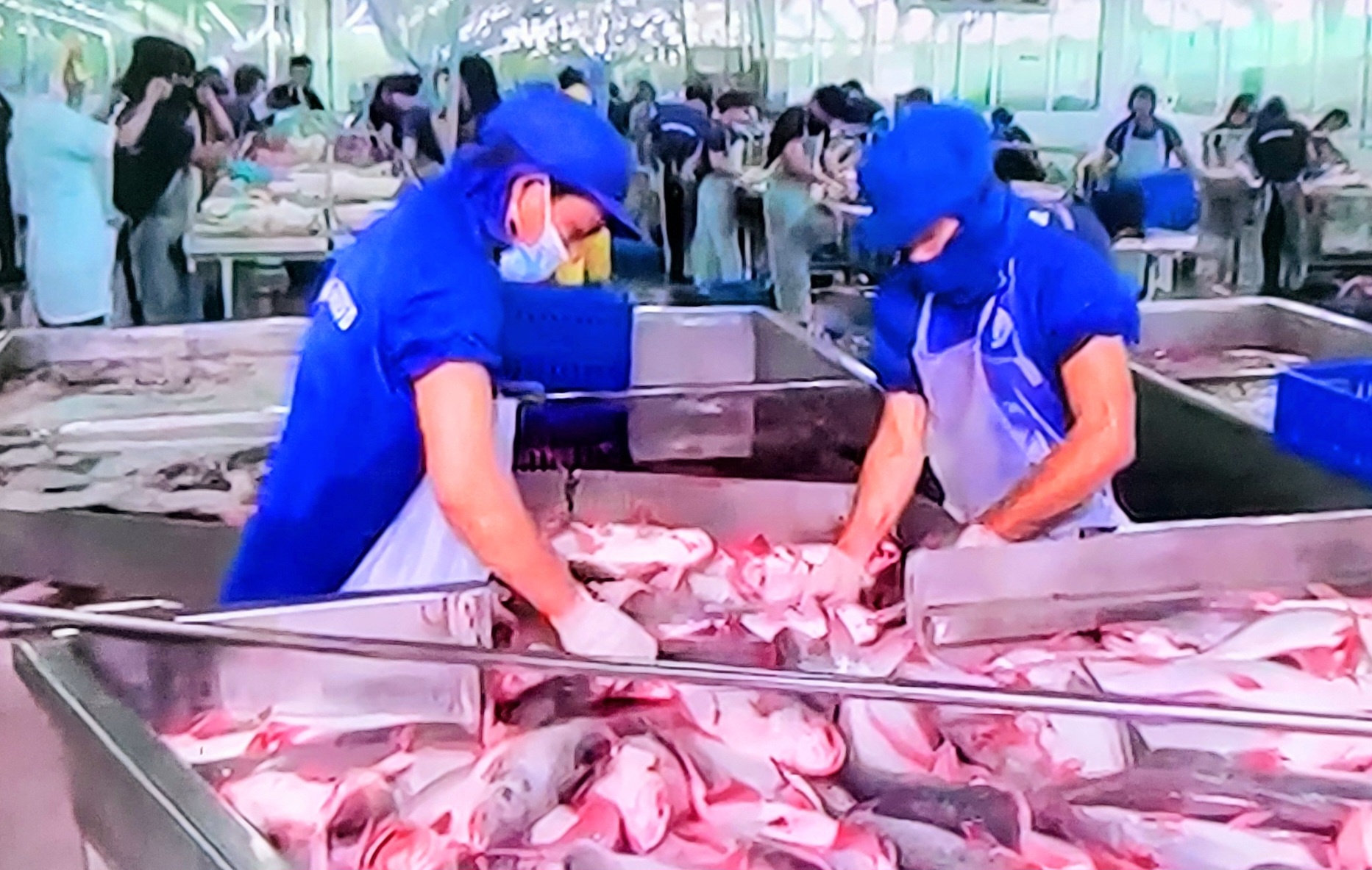 Liên kết không chỉ mang tính kinh tế mà còn giúp doanh nghiệp Việt giảm rủi ro pháp lý