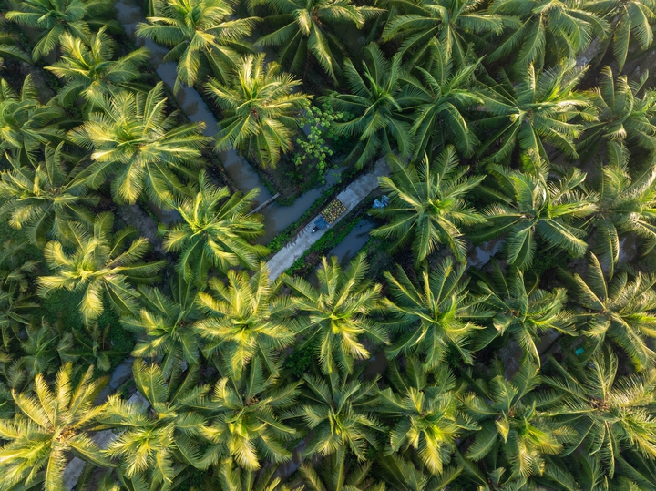 AgriS xây hệ sinh thái nông nghiệp tuần hoàn công nghệ cao - Ảnh 1.