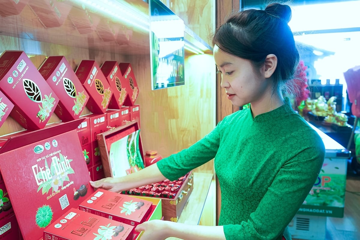 Các sản phẩm chè của HTX Hảo Đạt được phân loại bằng màu sắc, trong đó màu đỏ là sản phẩm chè đinh, có giá trị cao nhất. Ảnh: Bảo Thắng. Các sản phẩm chè của HTX Hảo Đạt được phân loại bằng màu sắc, trong đó màu đỏ là sản phẩm chè đinh, có giá trị cao nhất. Ảnh: Bảo Thắng.