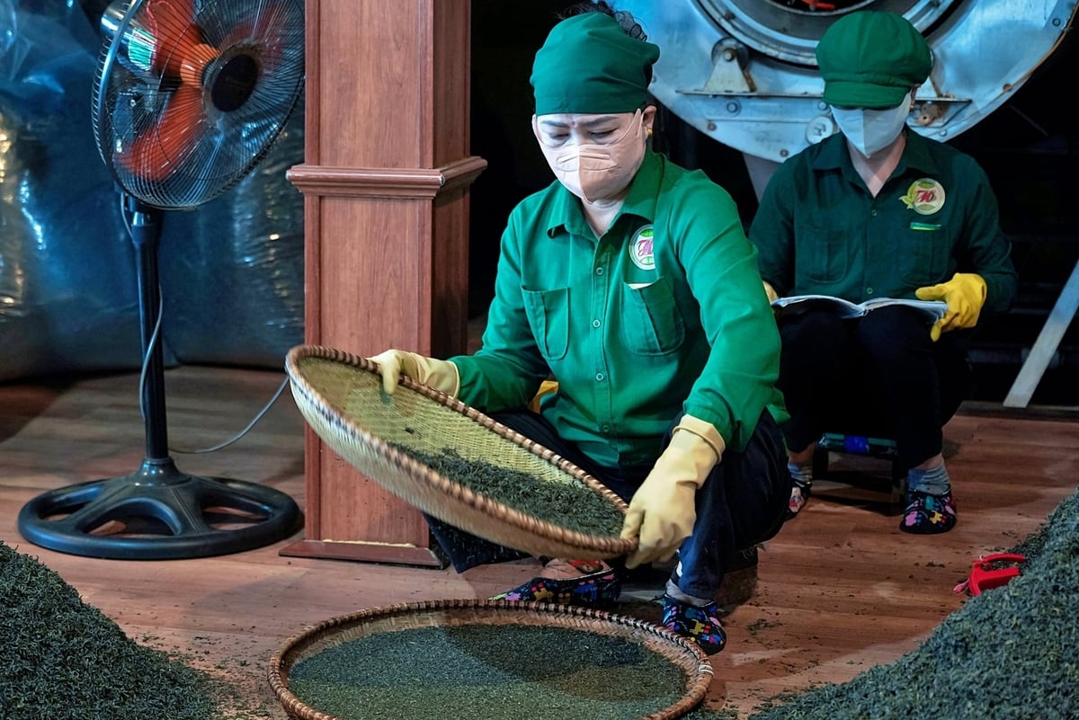 Tại không gian trải nghiệm của HTX, du khách sẽ tận mắt các công đoạn sản xuất trà. Ảnh: Bảo Thắng. Tại không gian trải nghiệm của HTX, du khách sẽ tận mắt các công đoạn sản xuất trà. Ảnh: Bảo Thắng.