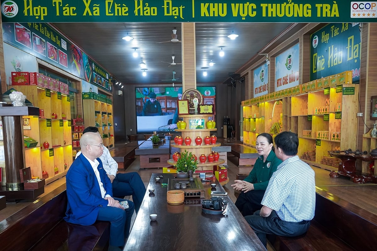 Bà Đào Thanh Hảo trò chuyện cùng đoàn công tác báo chí ngành nông nghiệp môi trường hồi tháng 12/2025. Ảnh: Bảo Thắng. Bà Đào Thanh Hảo trò chuyện cùng đoàn công tác báo chí ngành nông nghiệp môi trường hồi tháng 12/2025. Ảnh: Bảo Thắng.
