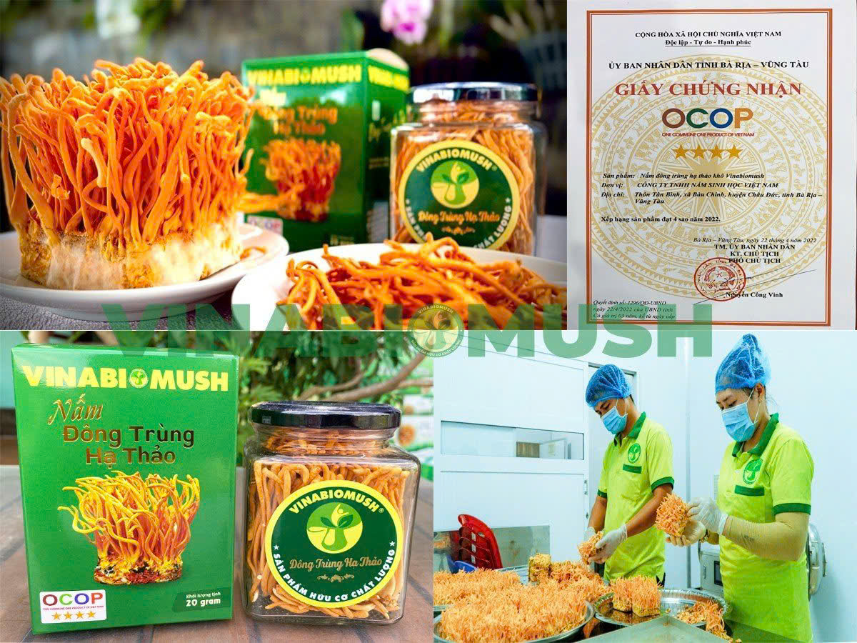 Thạc sĩ làm nông thời công nghệ: Thiết kế khí hậu để nuôi trồng nấm... khó tính - Ảnh 1.