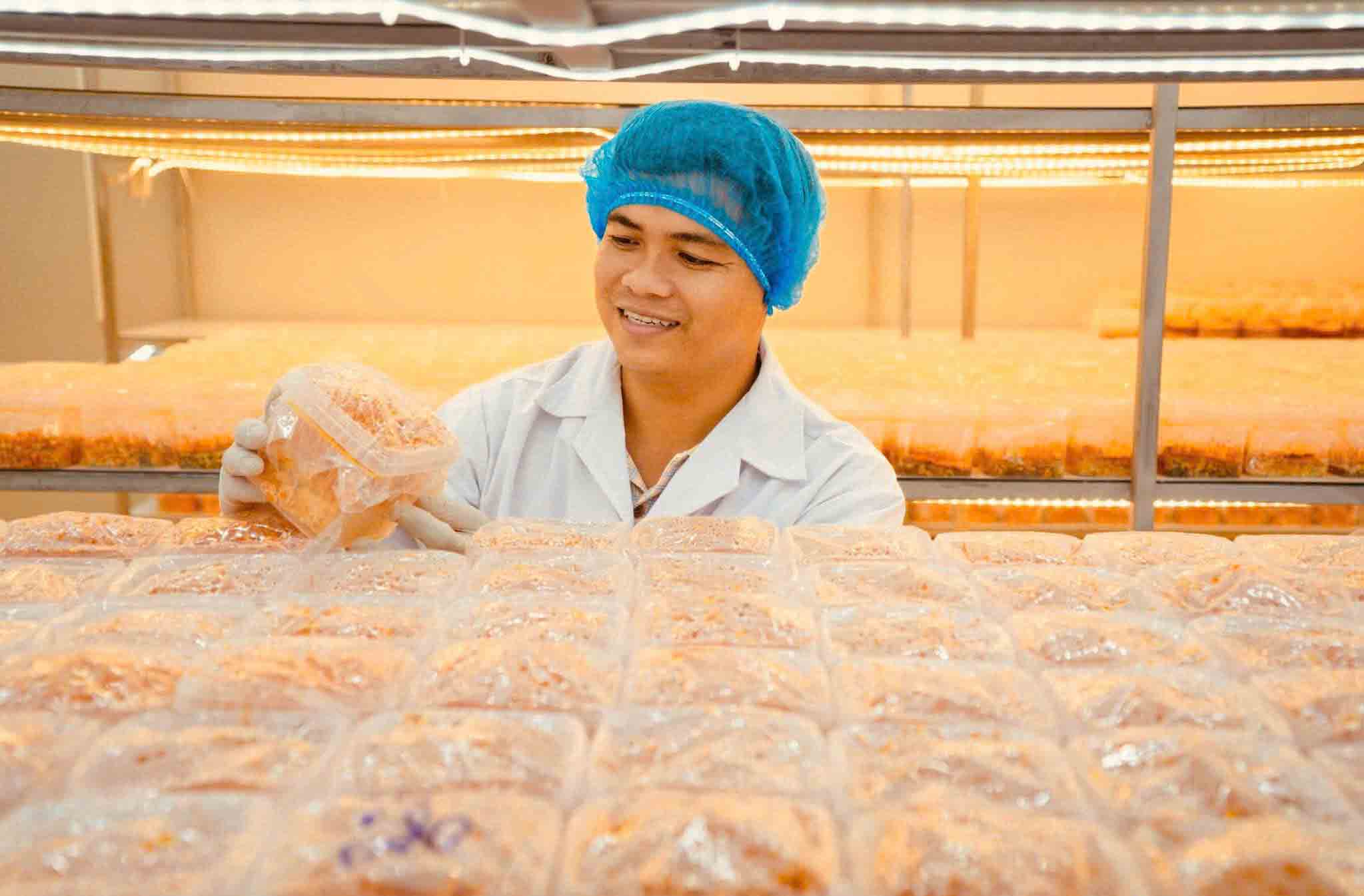 Thạc sĩ làm nông thời công nghệ: Thiết kế khí hậu để nuôi trồng nấm... khó tính- Ảnh 1.