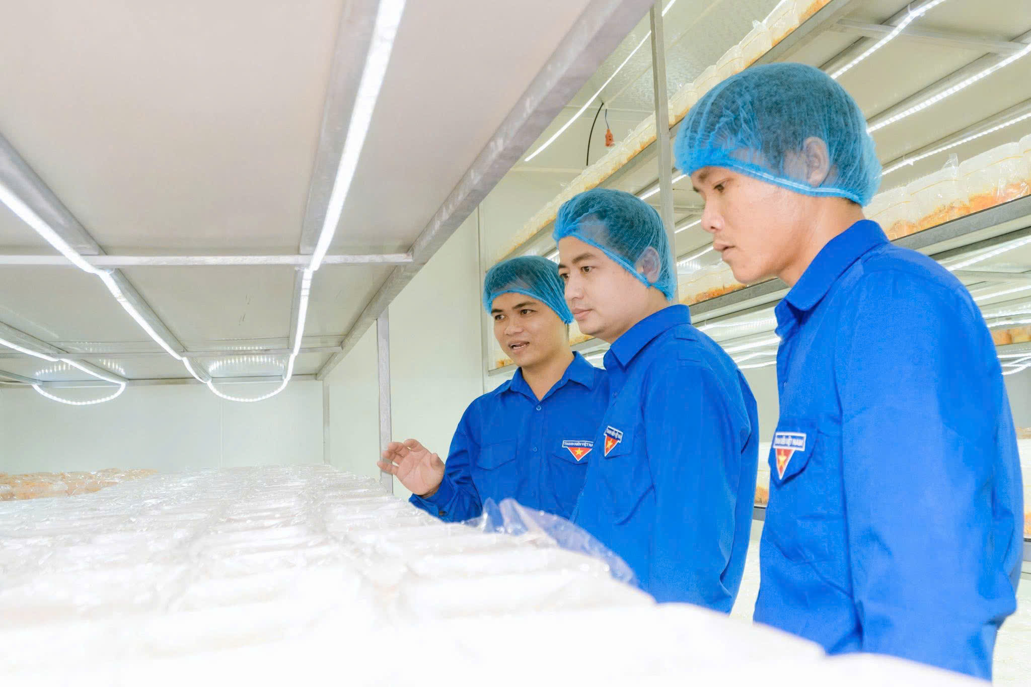 Thạc sĩ làm nông thời công nghệ: Thiết kế khí hậu để nuôi trồng nấm... khó tính - Ảnh 3.