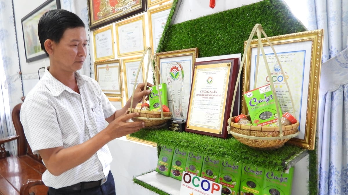 Các chủ thể sản phẩm OCOP ngày càng chú trọng đến bao bì, nhãn mác và nguồn gốc xuất xứ. Ảnh: Trần Trung.