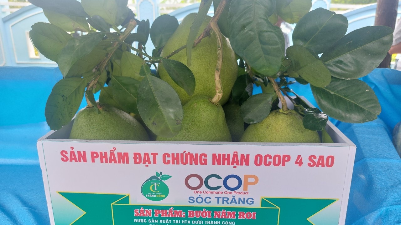 OCOP TRAI CÂY MY PHUOC