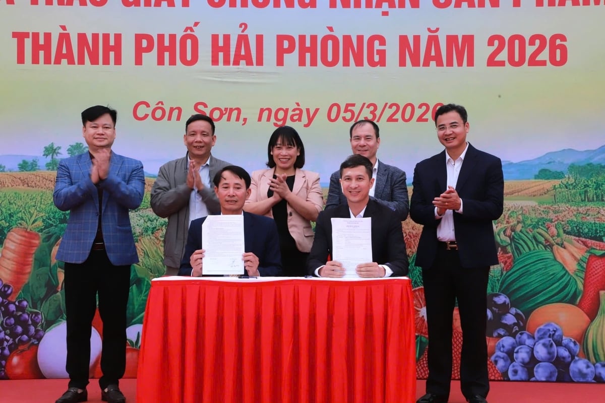 Các chủ thể OCOP ký kết thỏa thuận hợp tác tại buổi lễ. Ảnh: Hoàng Phong.