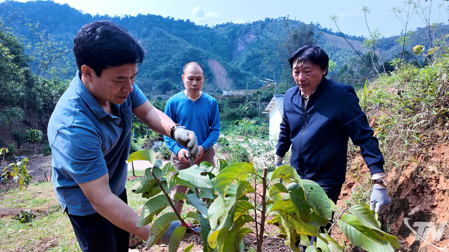 Cán bộ Viện Rau quả Trung ương nghiên cứu, ứng dụng các giống cây trồng mới ở xã vùng cao.