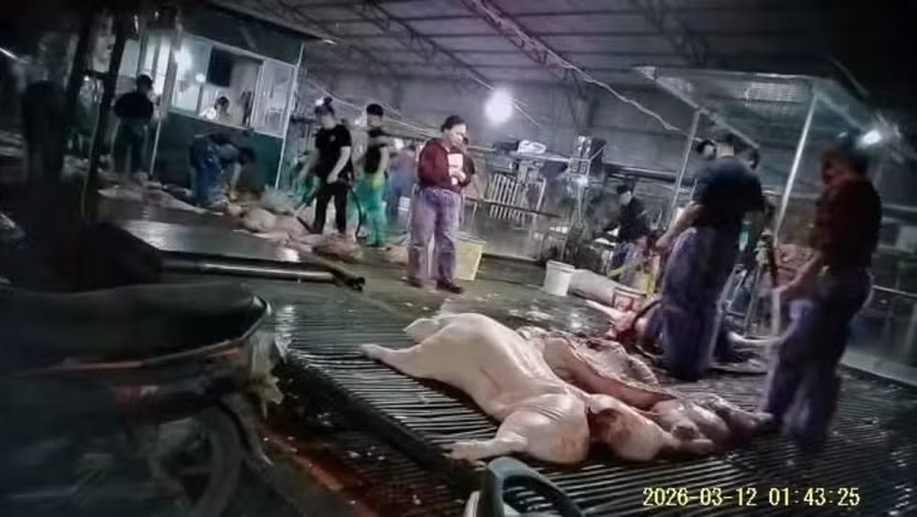 Sẽ kiểm tra các cơ sở giết mổ gia súc trên toàn quốc lon-benh2.jpg