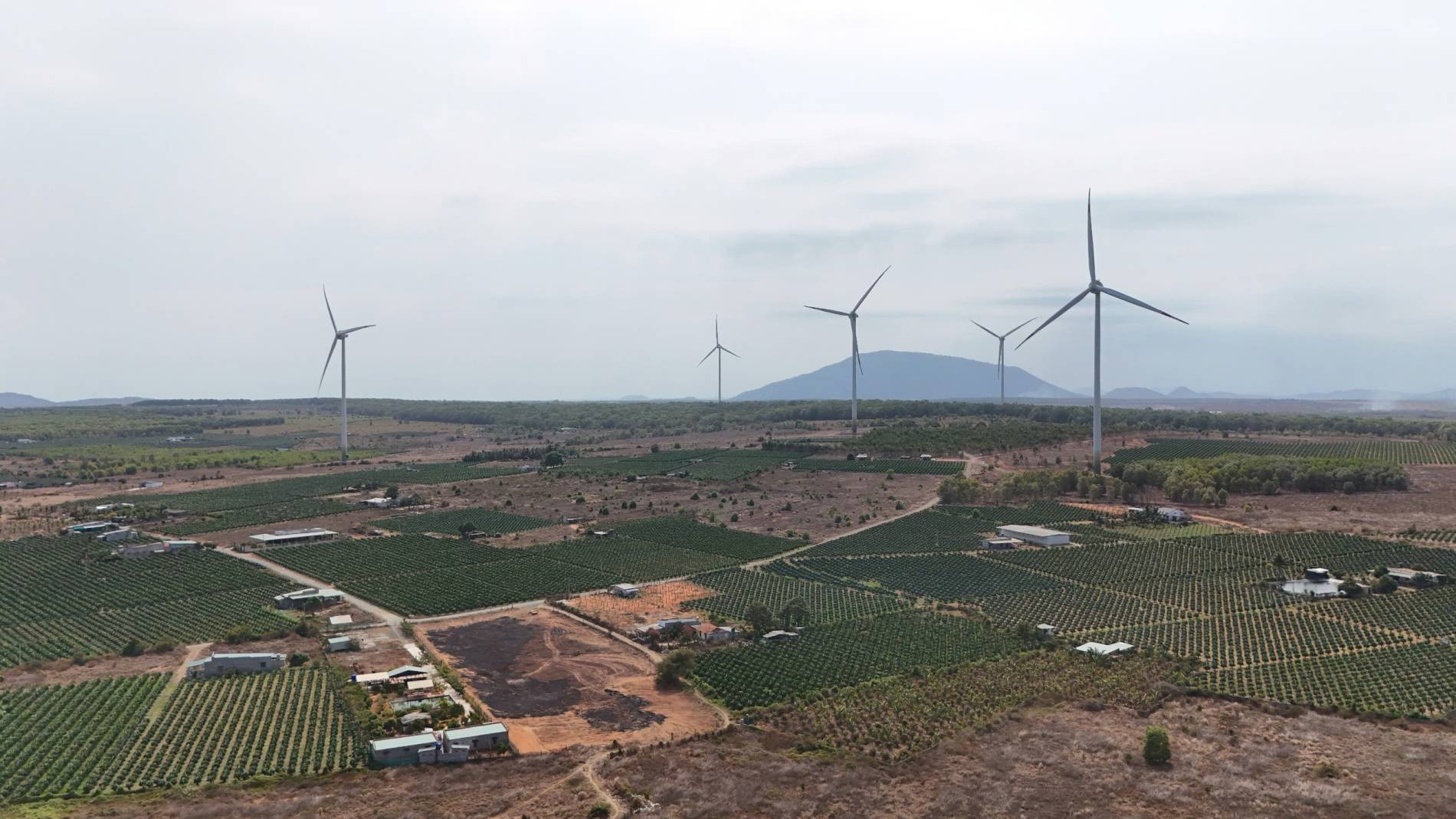 Lâm Đồng thành lập Ban chỉ đạo thúc đẩy các dự án năng lượng - Ảnh 2