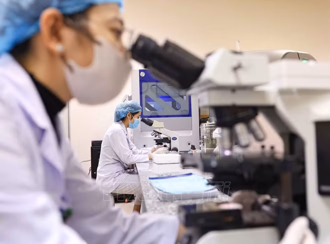 Ảnh minh họa. (Ảnh: Thanh Tùng/TTXVN) 200004-vna-potal-70-nam-ngay-thay-thuoc-viet-nam-benh-vien-noi-tiet-trung-uong-tat-ca-vi-su-hai-long-cua-nguoi-benh-7872694.jpg