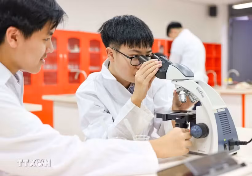 Ảnh minh họa. (Ảnh: Thanh Tùng/TTXVN)