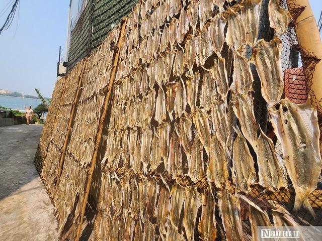 Hợp tác xã đạt OCOP và “bà đỡ” cho hàng trăm tấn hải sản vươn ra thị trường - Ảnh 2.