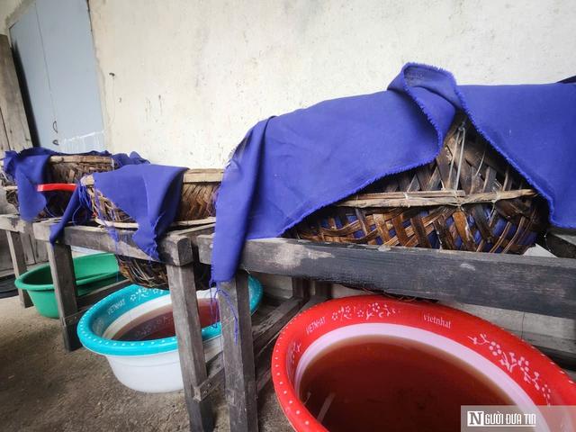 Hợp tác xã đạt OCOP và “bà đỡ” cho hàng trăm tấn hải sản vươn ra thị trường - Ảnh 7.