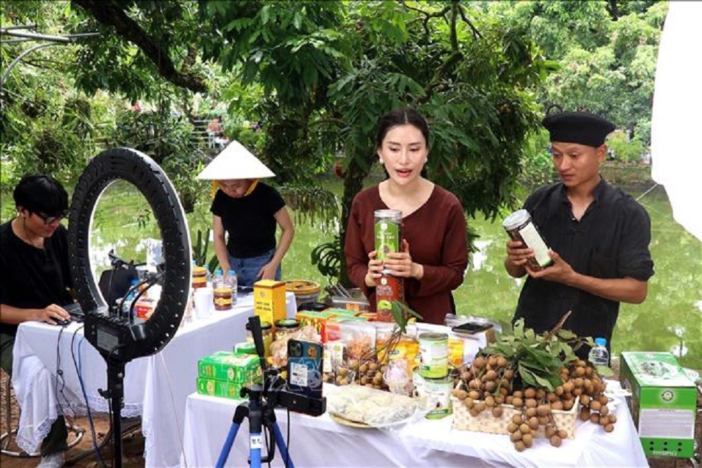 Các nhà sáng tạo nội dung giúp bà con nông dân tiêu thụ nhãn lồng và nông sản OCOP trên TikTok. Ảnh tư liệu: Đinh Văn Nhiều/TTXVN
