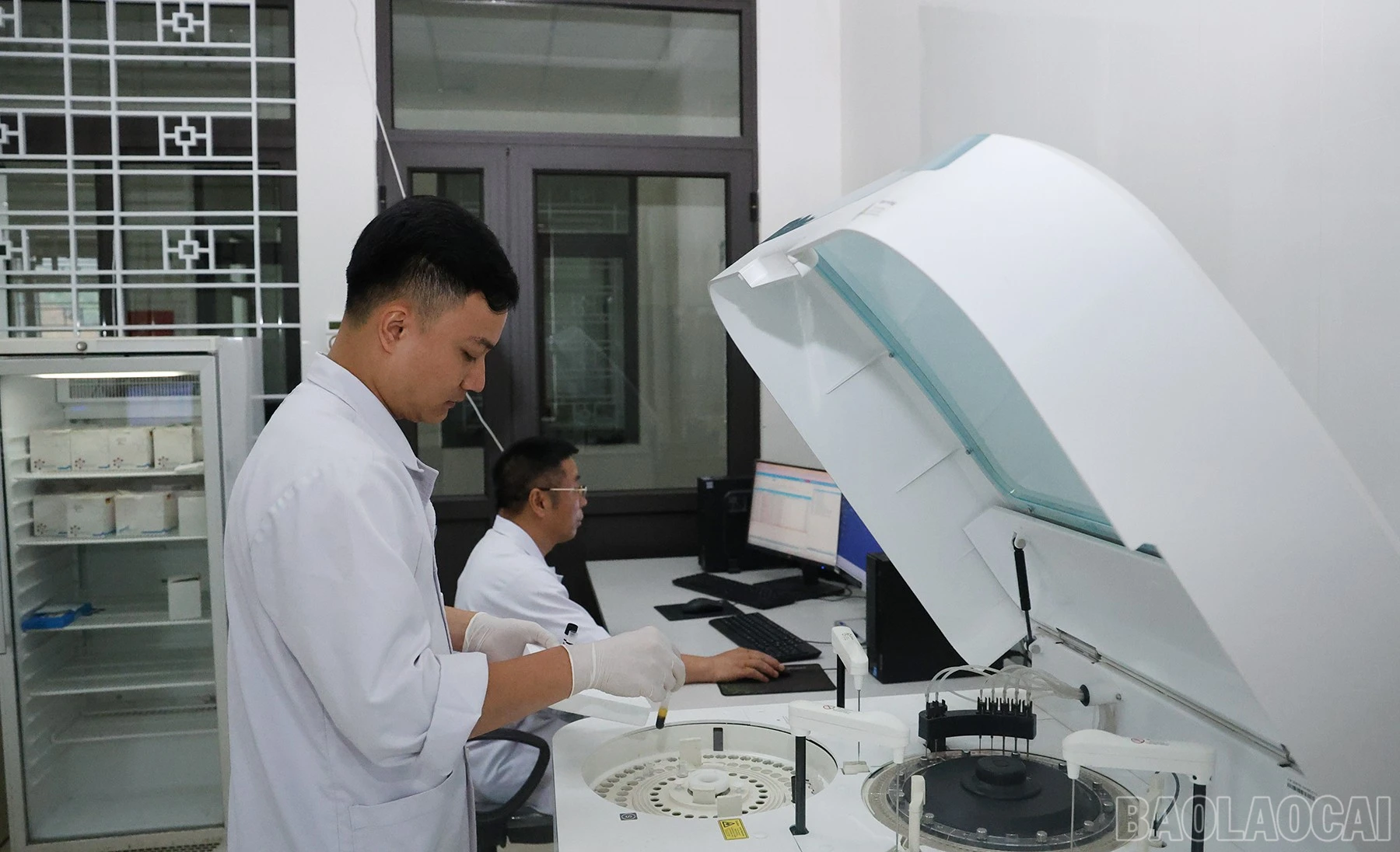 baolaocai-br_img-2971.jpg