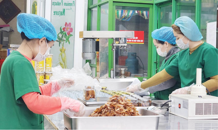 Việc đổi mới toàn diện hoạt động này được xem là giải pháp quan trọng giúp doanh nghiệp phát triển bền vững, nâng cao năng lực cạnh tranh và hội nhập sâu rộng 