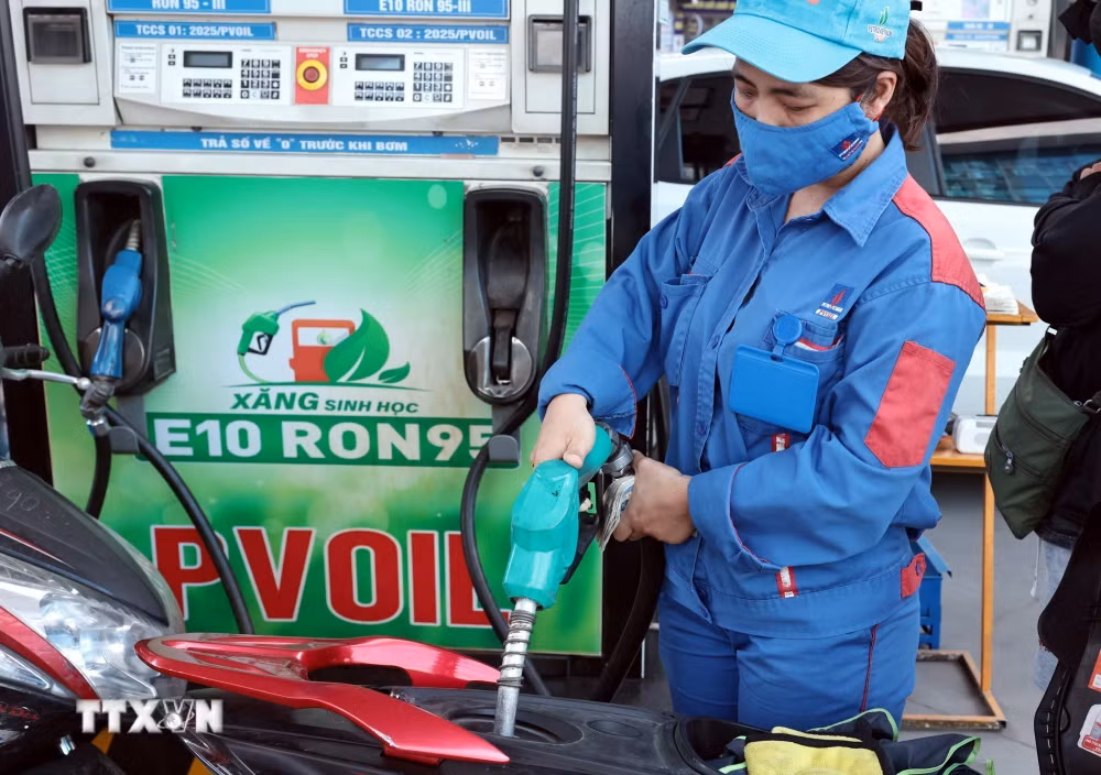 Tất cả các cửa hàng có kinh doanh xăng đã thực hiện chuyển đổi sang kinh doanh nhiên liệu sinh học. (Ảnh: Trần Việt/TTXVN) ttxvn-xang-e10-ron-95-1.jpg
