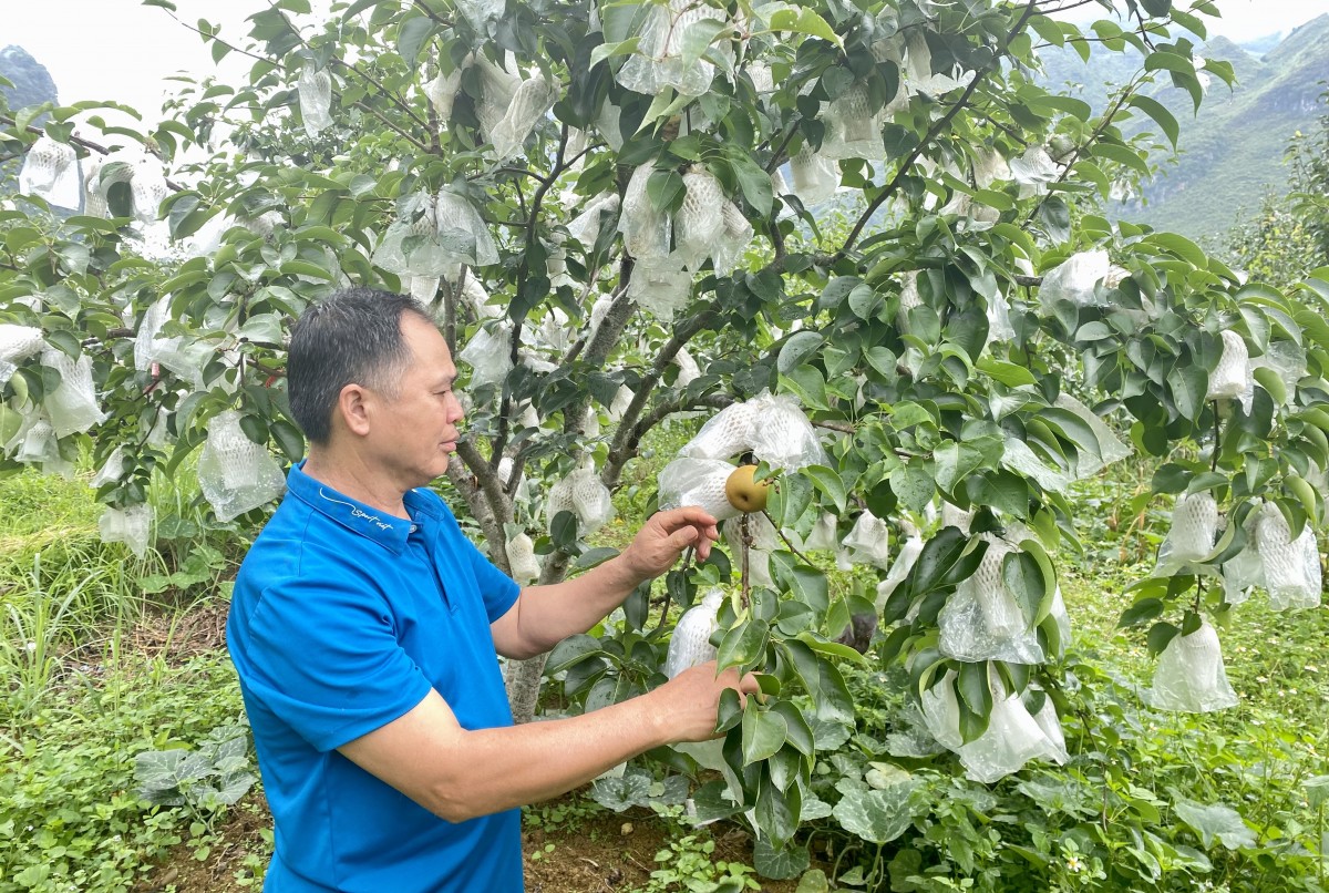 OCOP - Khơi dậy tiềm năng, nâng tầm nông sản, tạo sinh kế bền vững