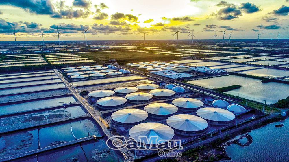 Ðịnh hướng ứng dụng công nghệ cao của Cà Mau trong lĩnh vực thuỷ sản là tập trung ứng dụng các công nghệ tiên tiến trong toàn bộ chuỗi giá trị sản xuất. (Trong ảnh: Mô hình nuôi tôm công nghệ cao trong nhà kính ở xã Vĩnh Hậu). Ảnh: PHAN THANH CƯỜNG