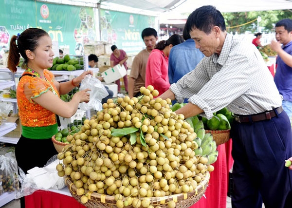 Tư duy về sở hữu trí tuệ của HTX đã được nâng lên.