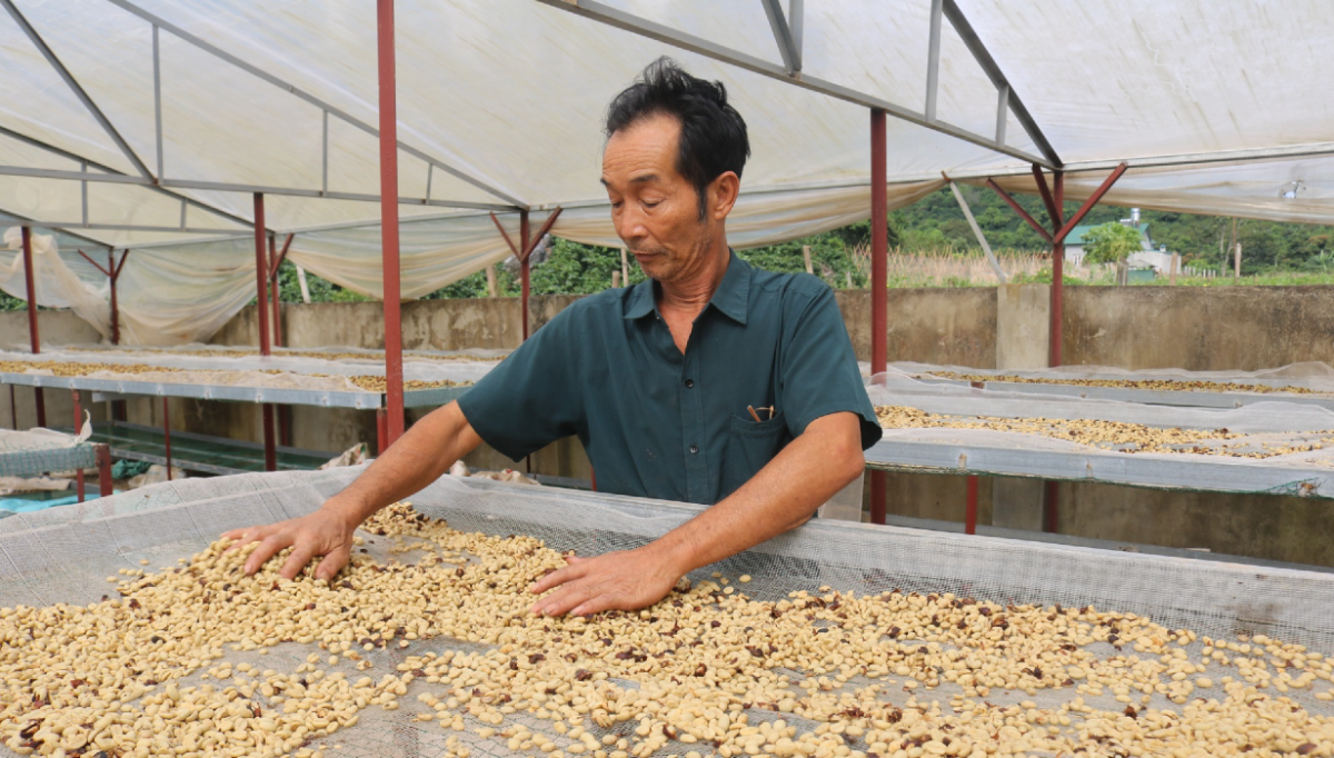 HTX Bích Thao tiên phong thực hiện truy xuất nguồn gốc.