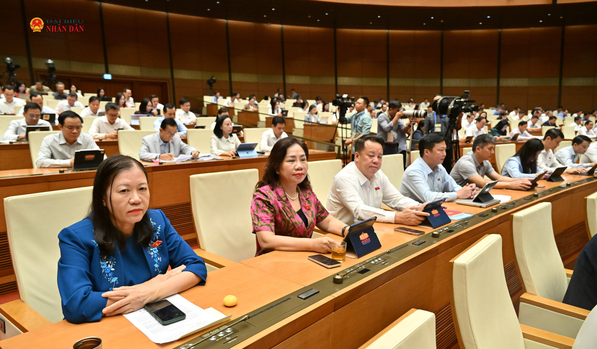 cac-dai-bieu-tai-phien-hopvqk_5215.jpg